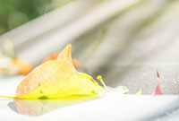 化浪潮下 化浪潮下