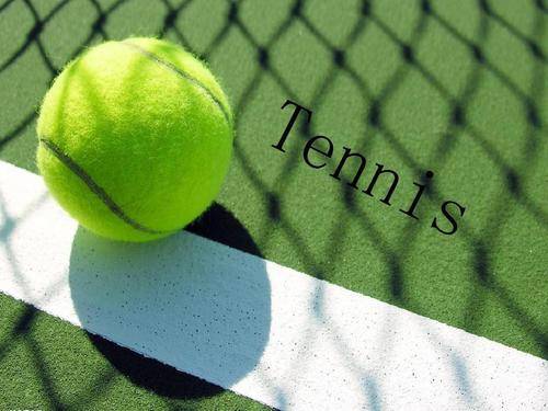 闻的专题报 闻的专题报